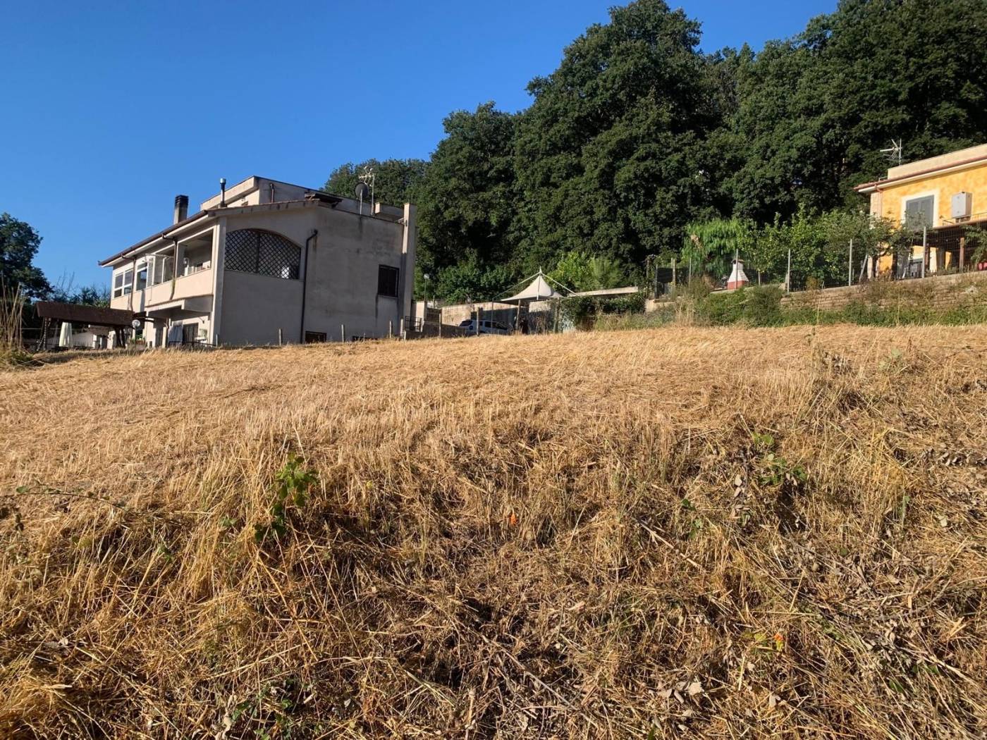 Terreno