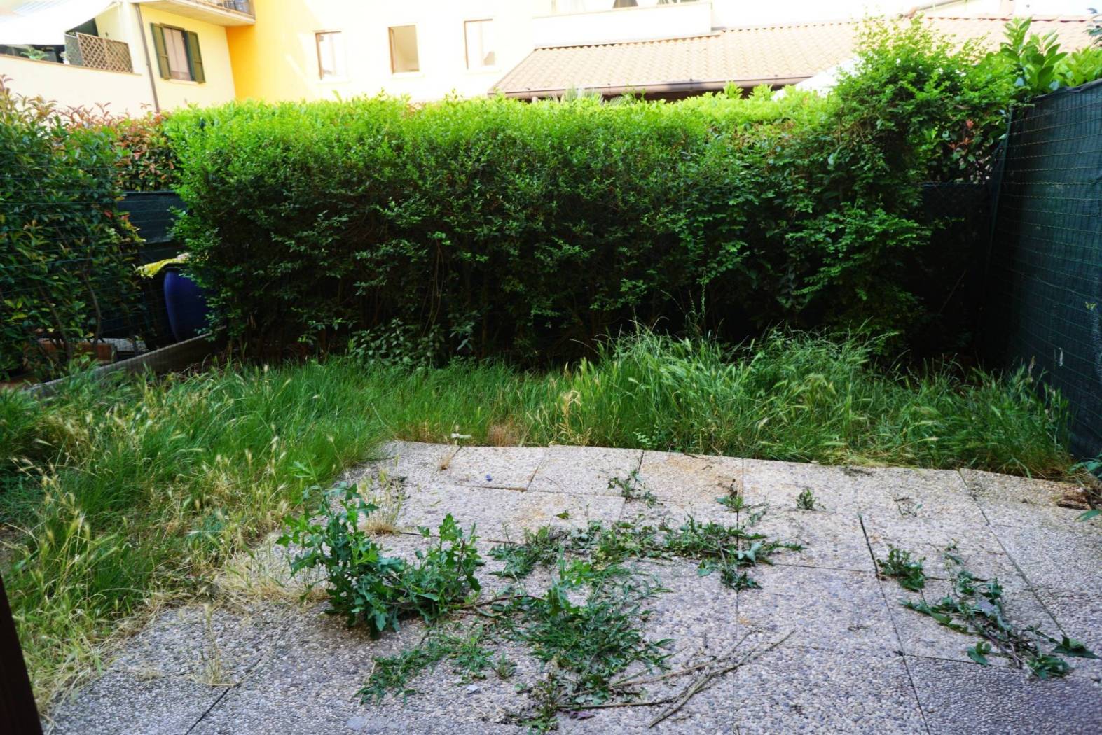 Giardino
