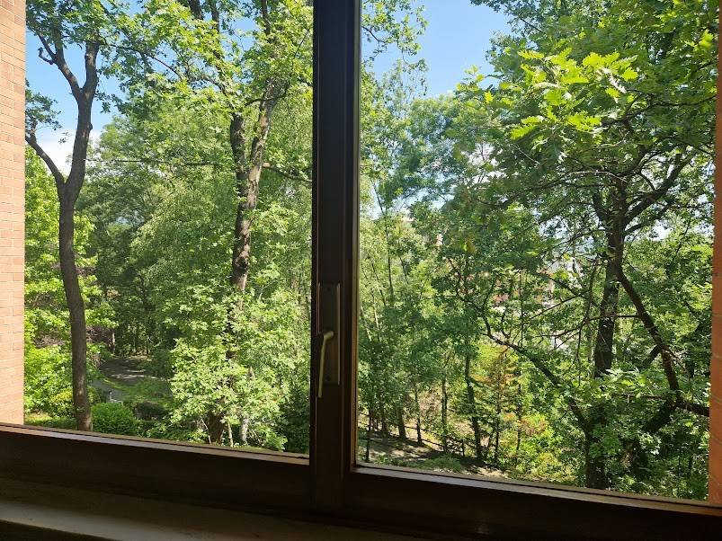 Vista