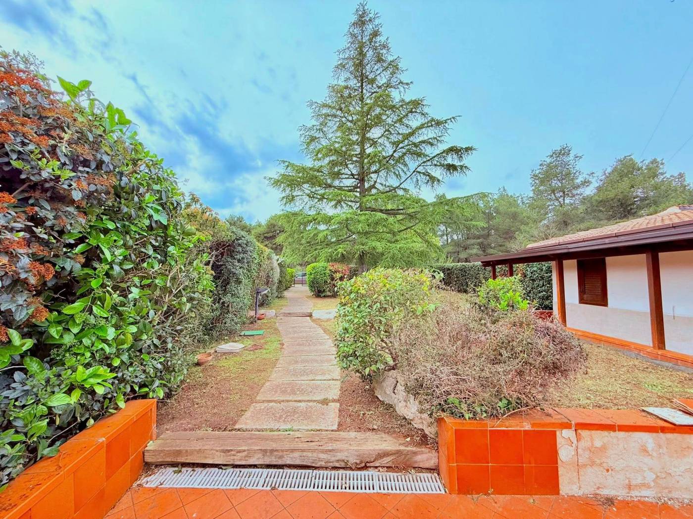 Giardino