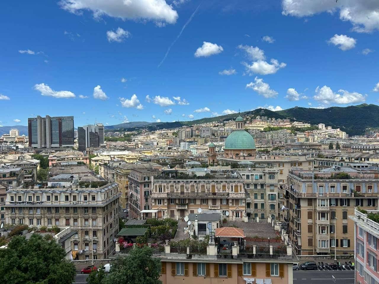 Vista