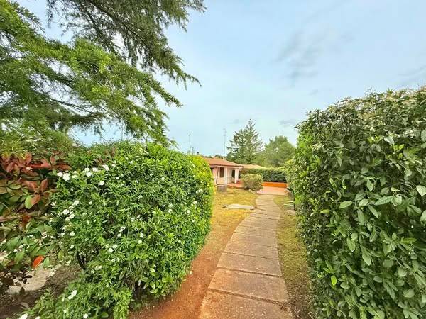 Giardino