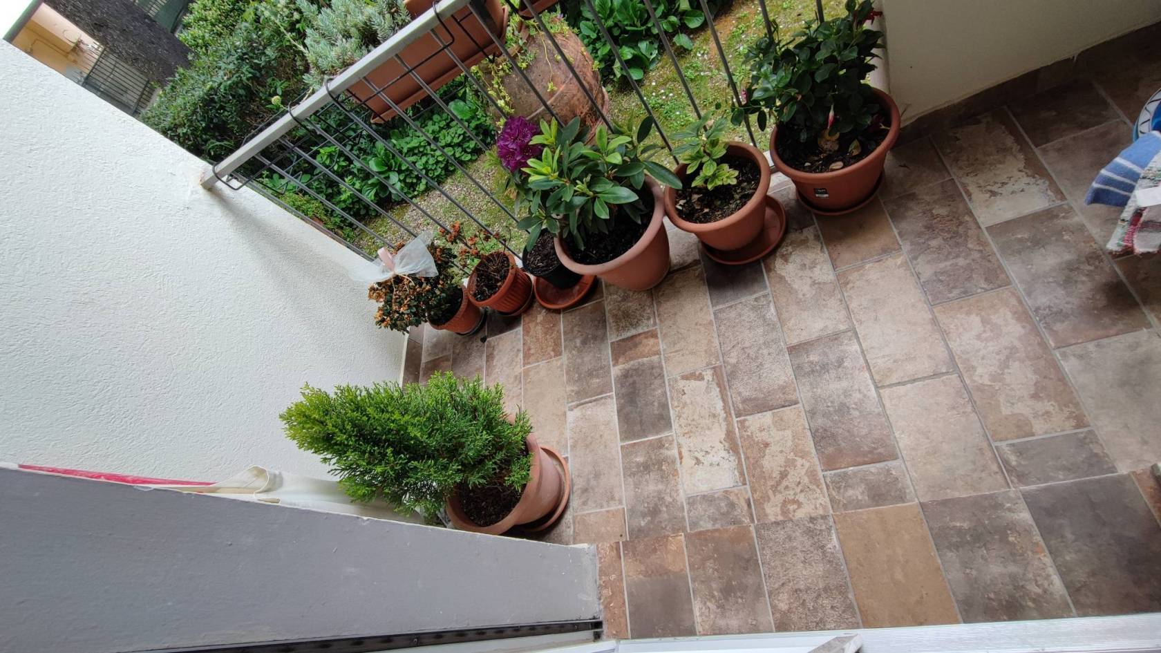 Balcone