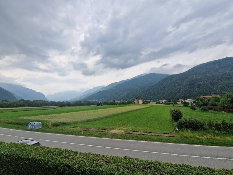 Vista