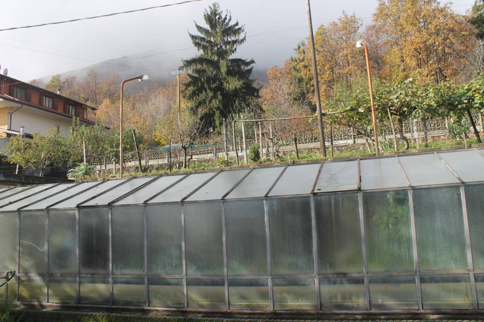 Terreno