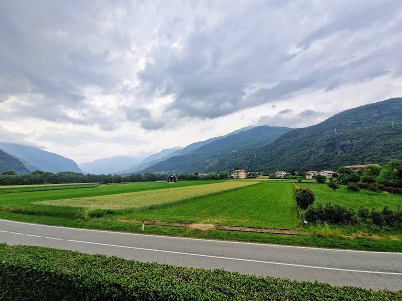 Vista