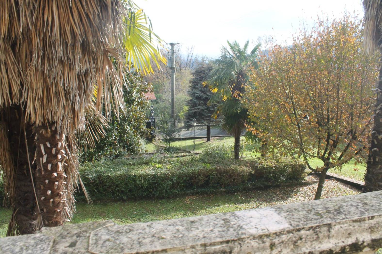 Giardino