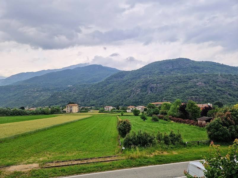 Vista