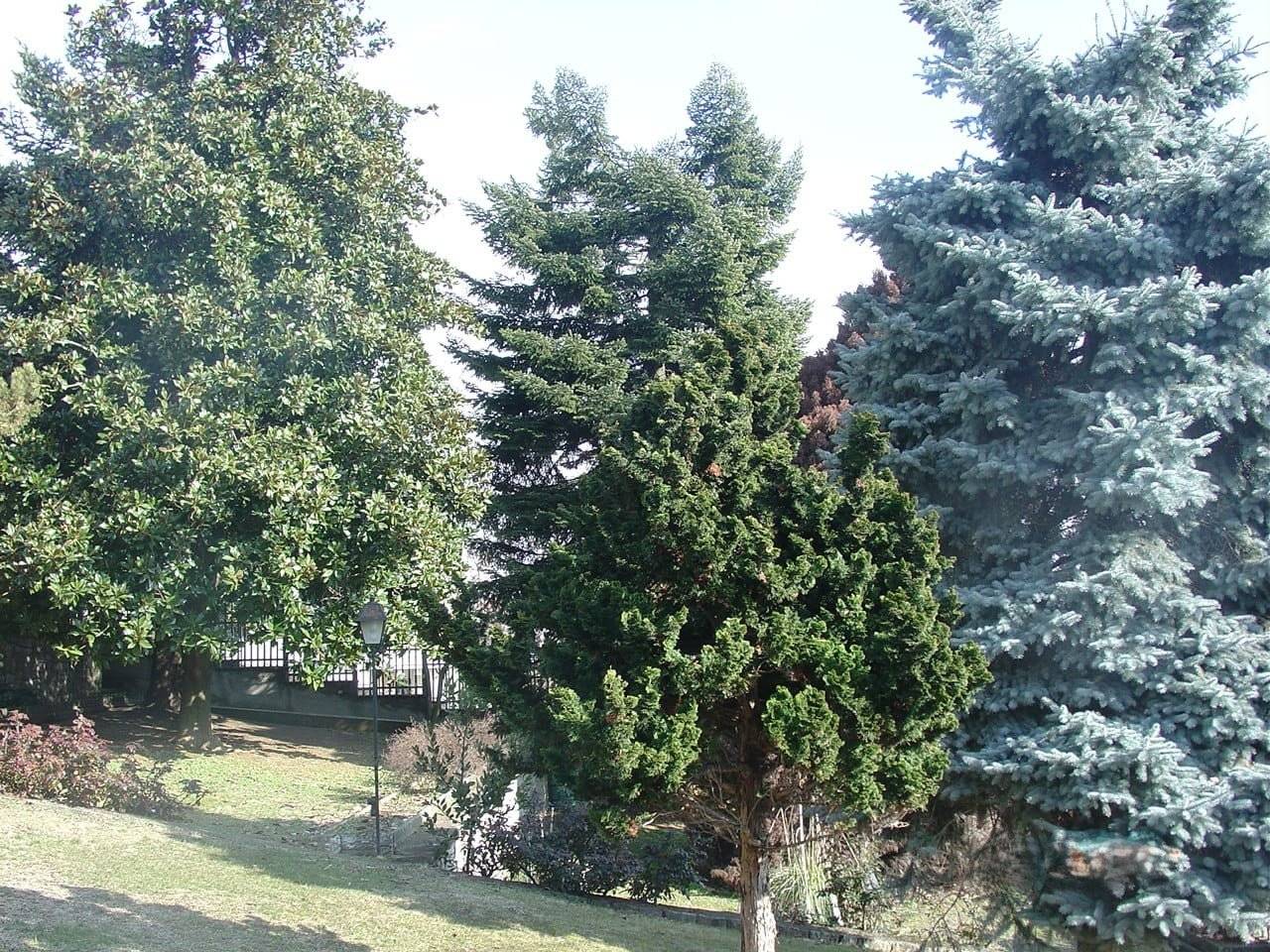 Terreno