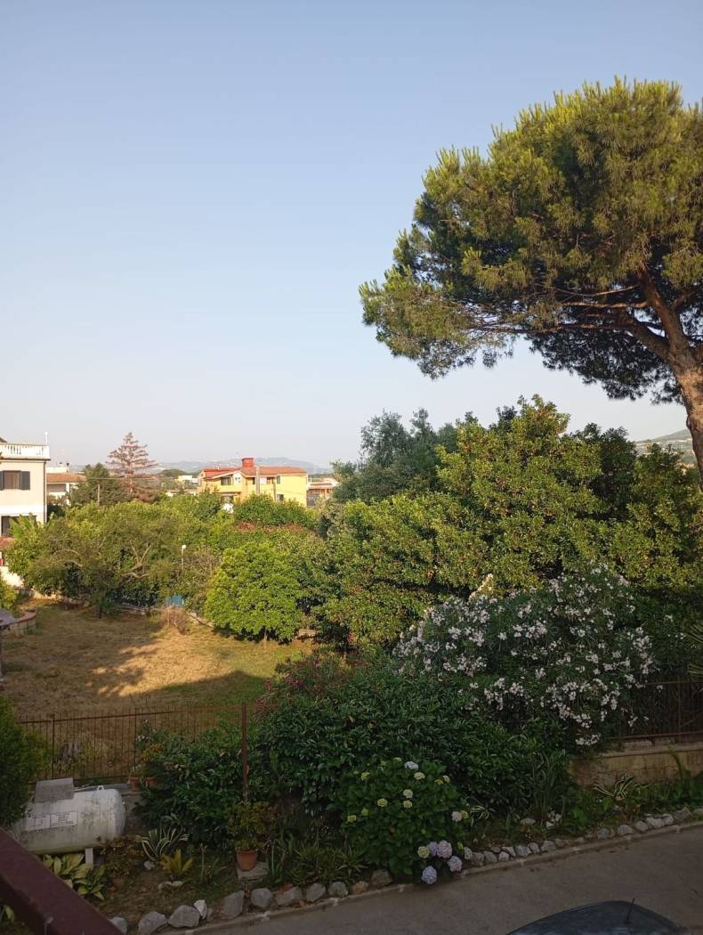 Vista
