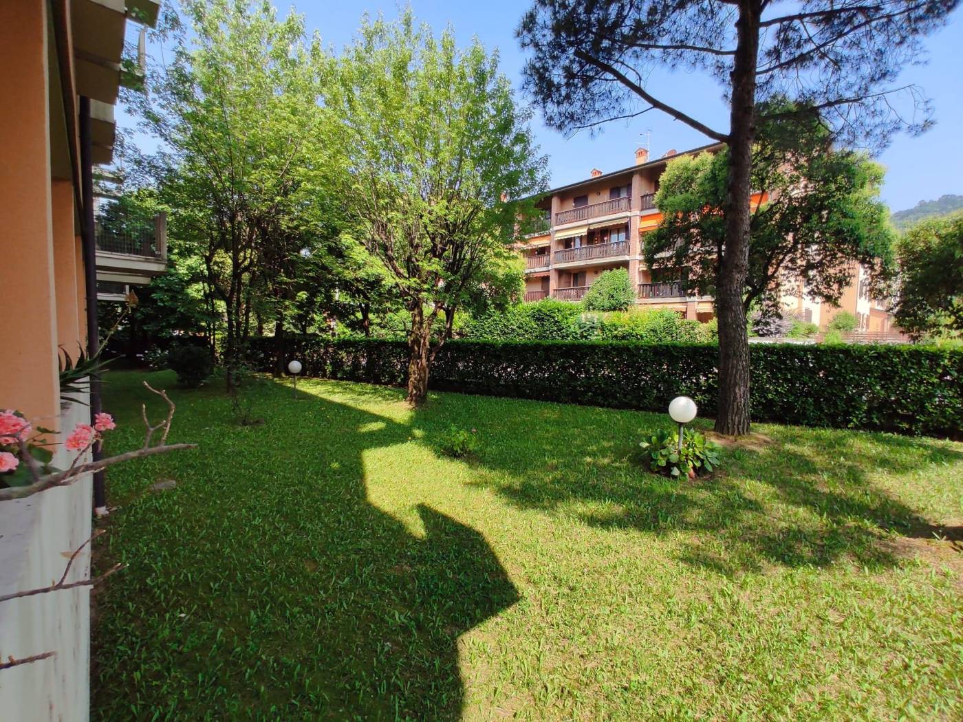 Giardino
