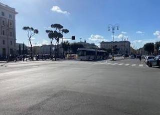 Zona