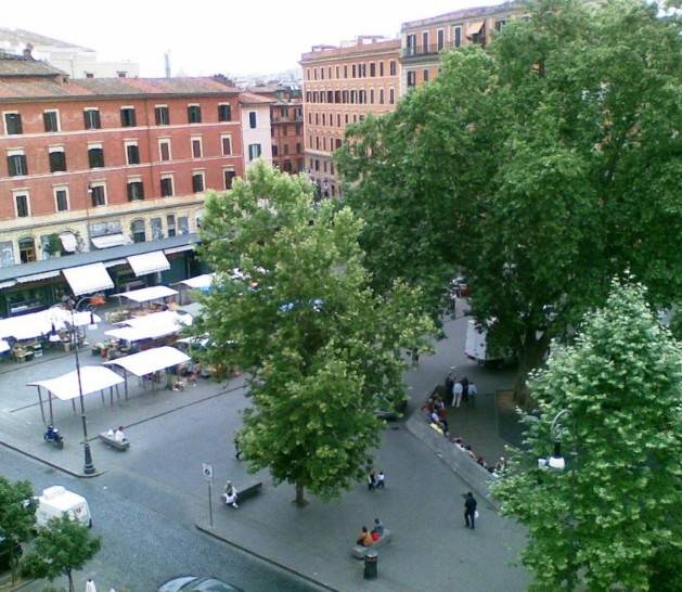 Zona