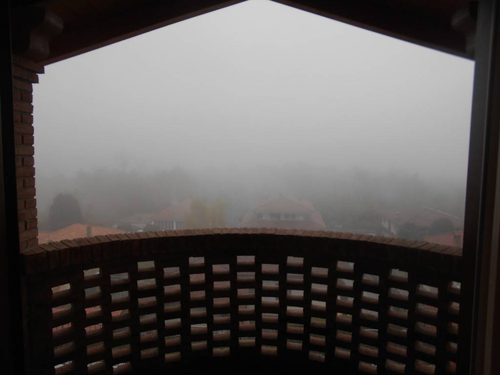 Vista