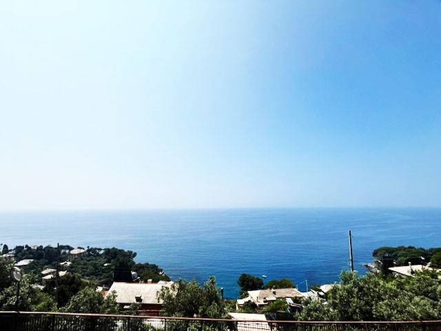 Vista