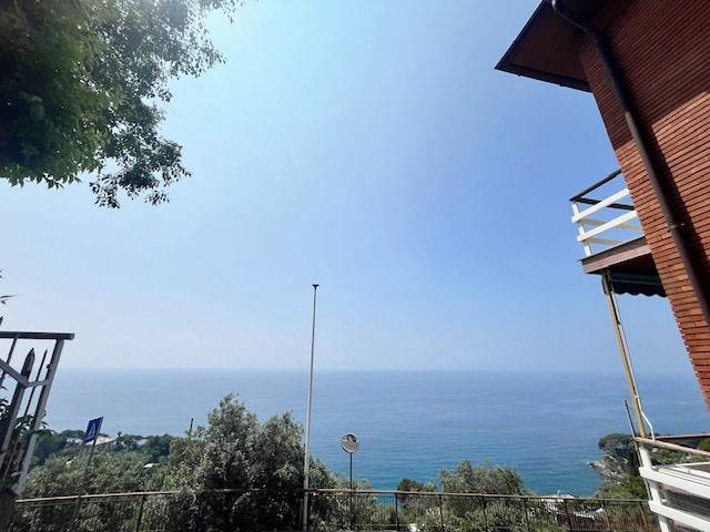Vista