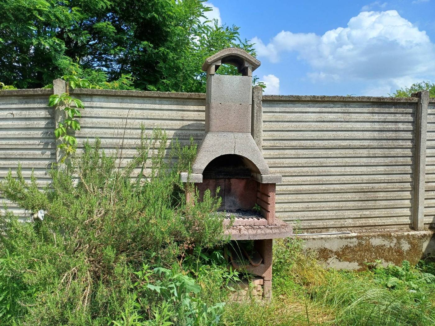 Giardino