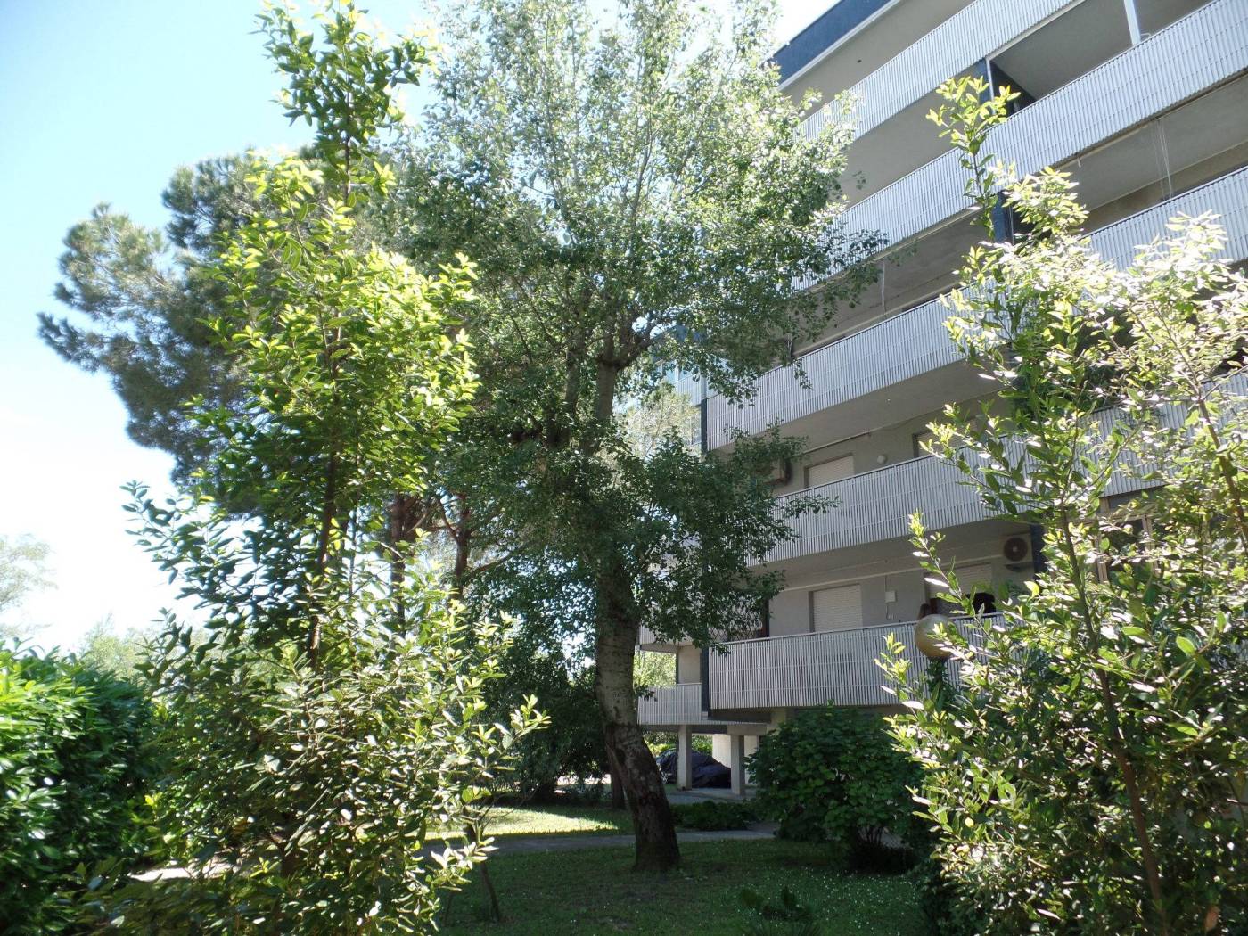 Giardino Giardino