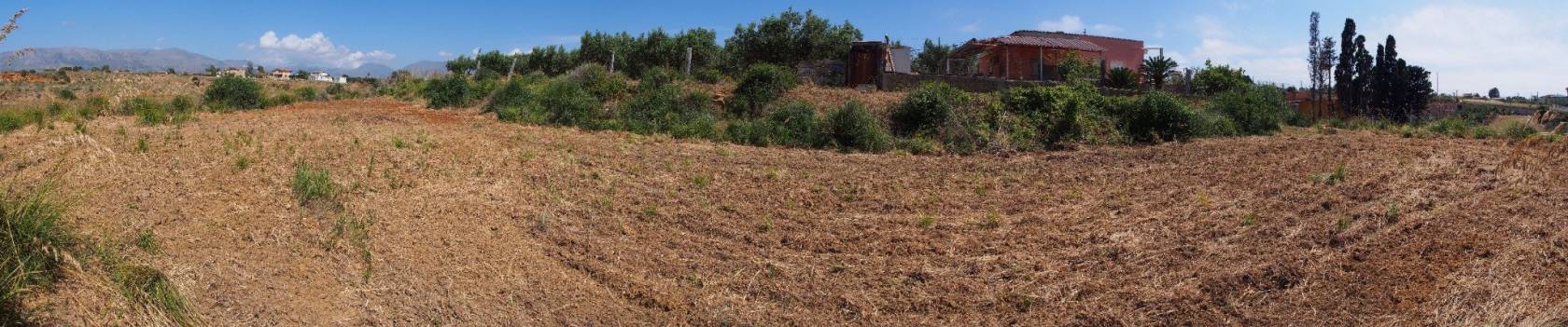Terreno