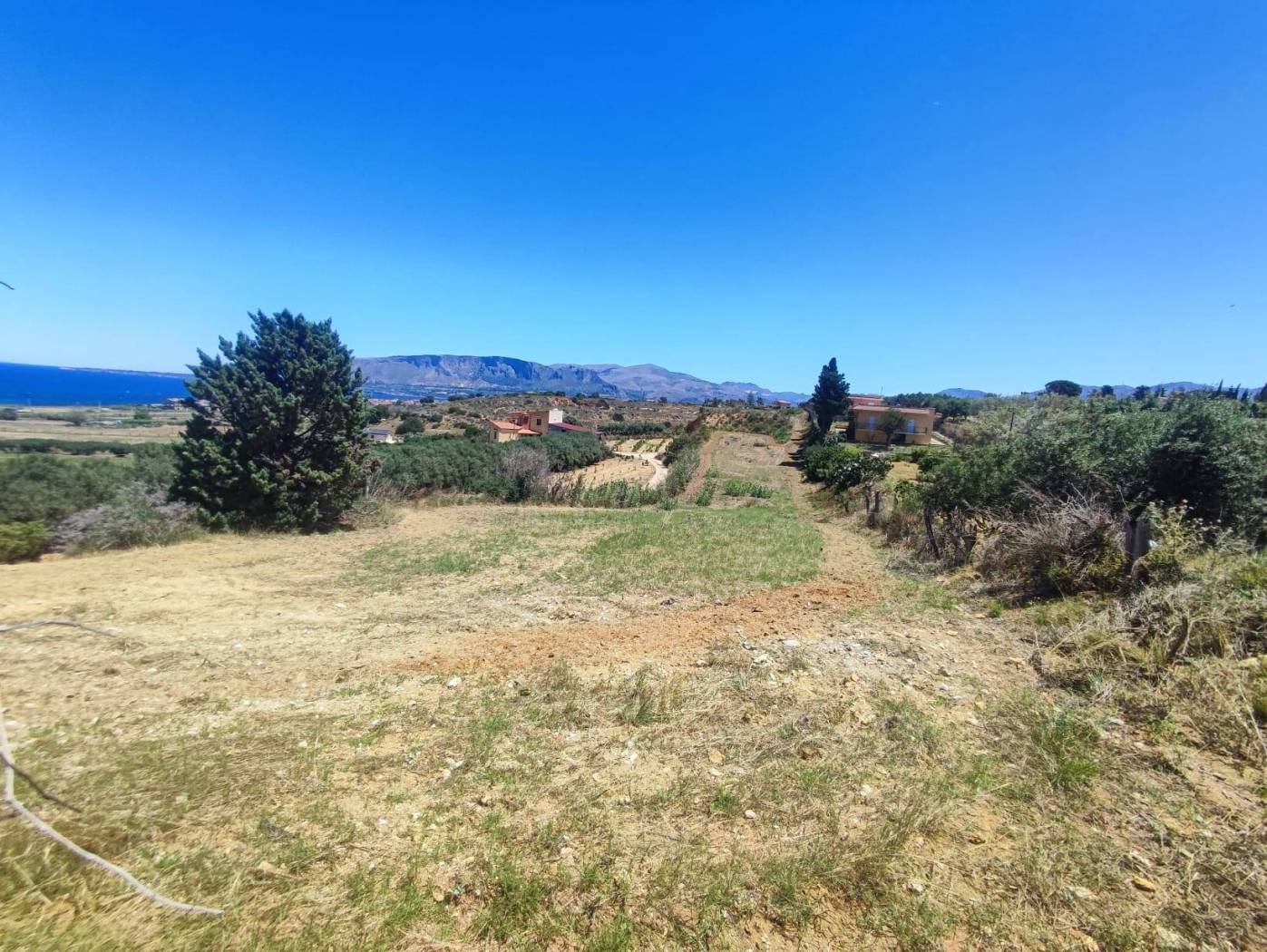 Terreno