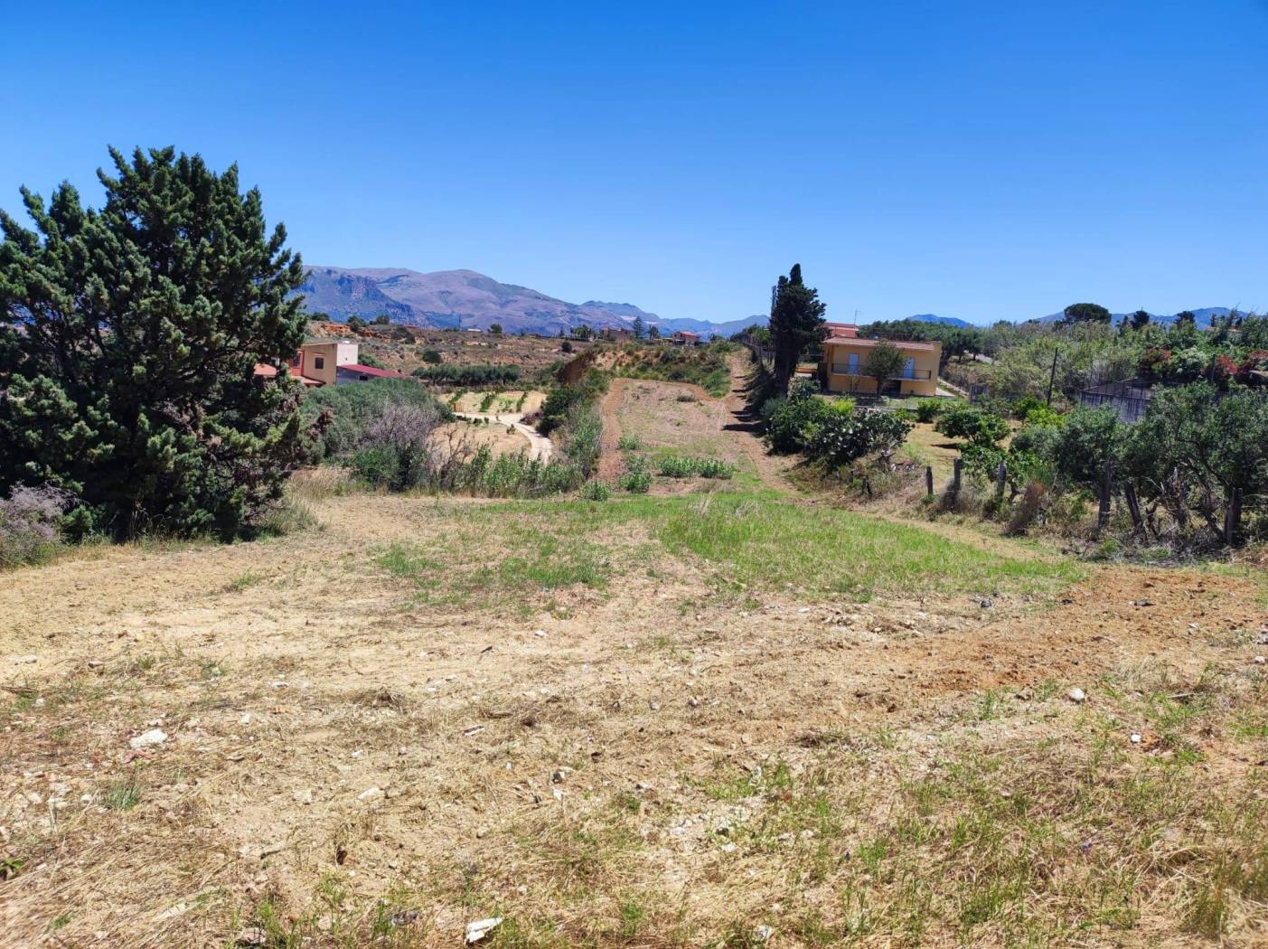 Terreno