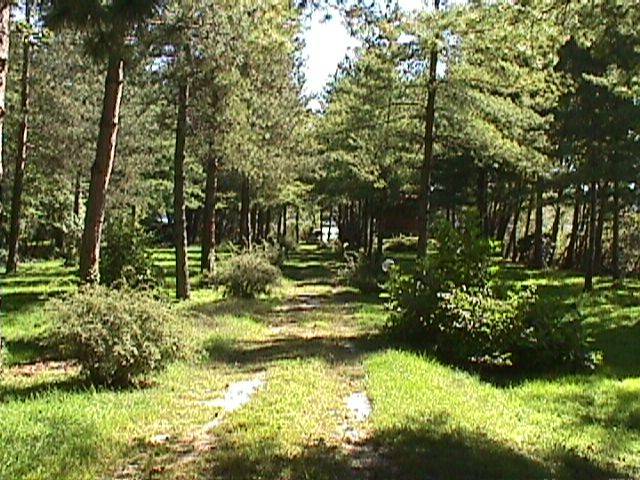 Zona