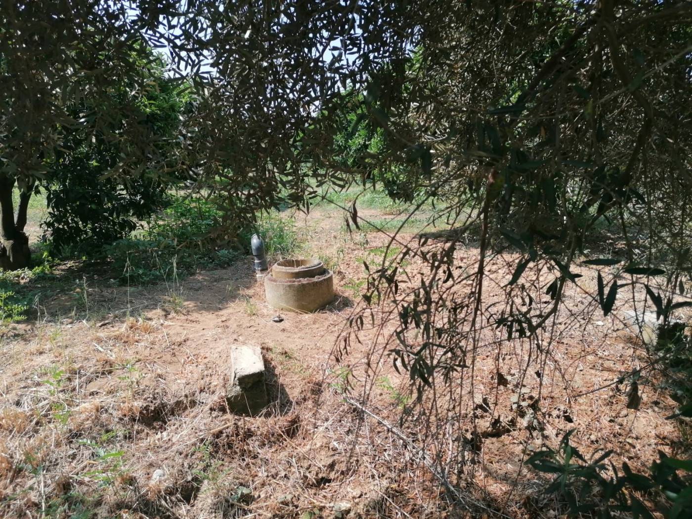 Terreno