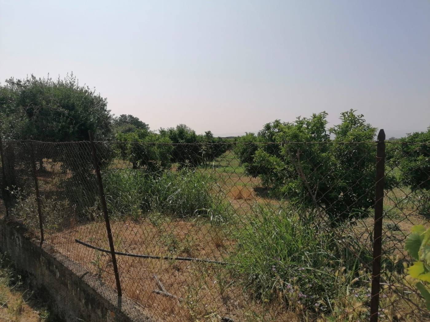 Terreno