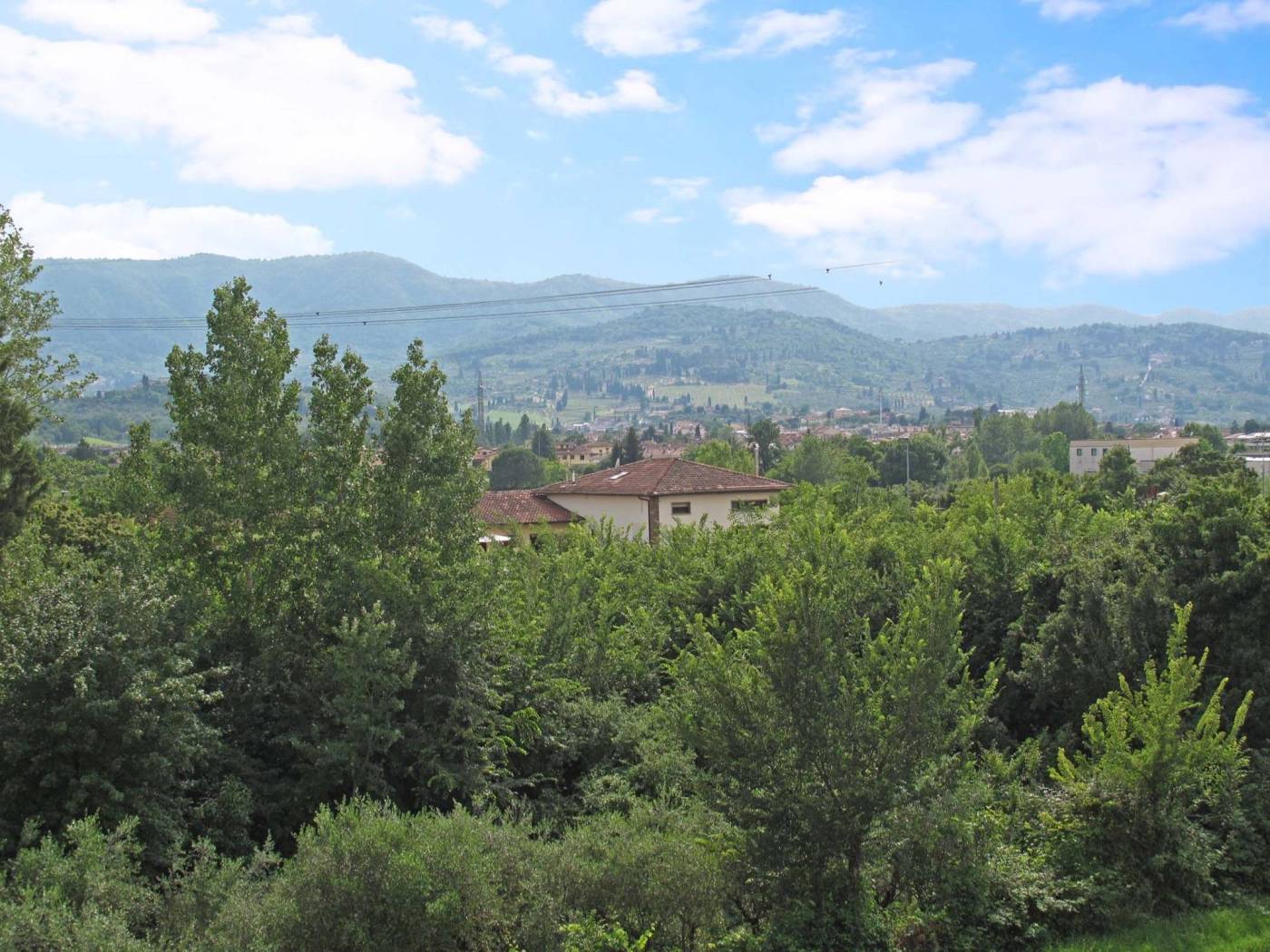 Vista