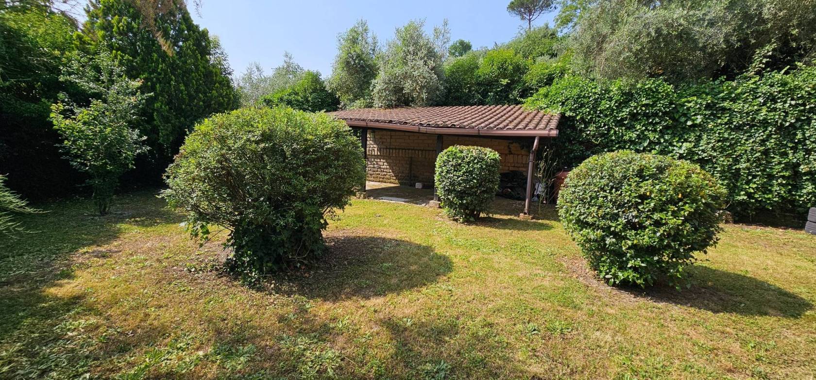 Giardino