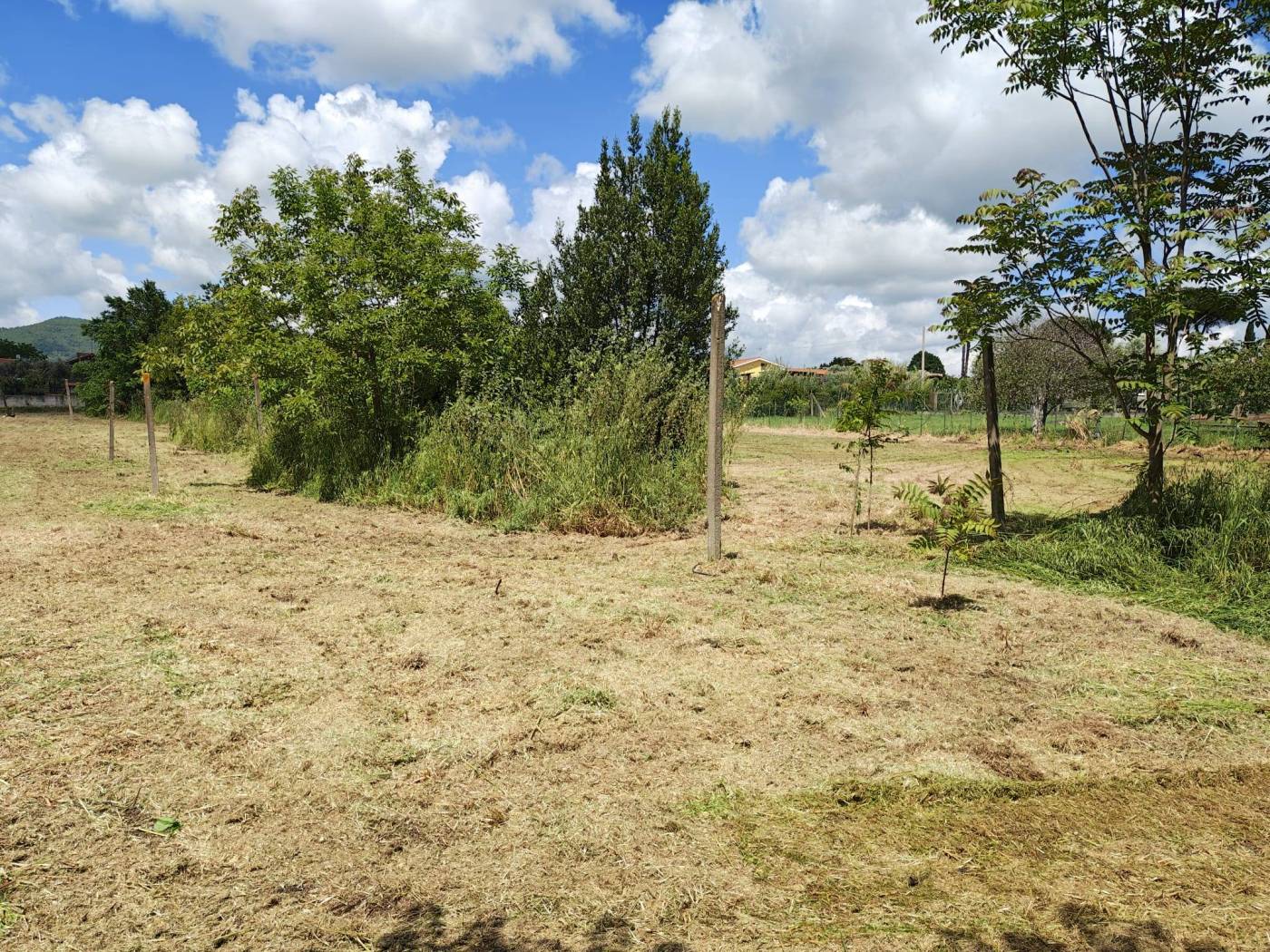 Terreno
