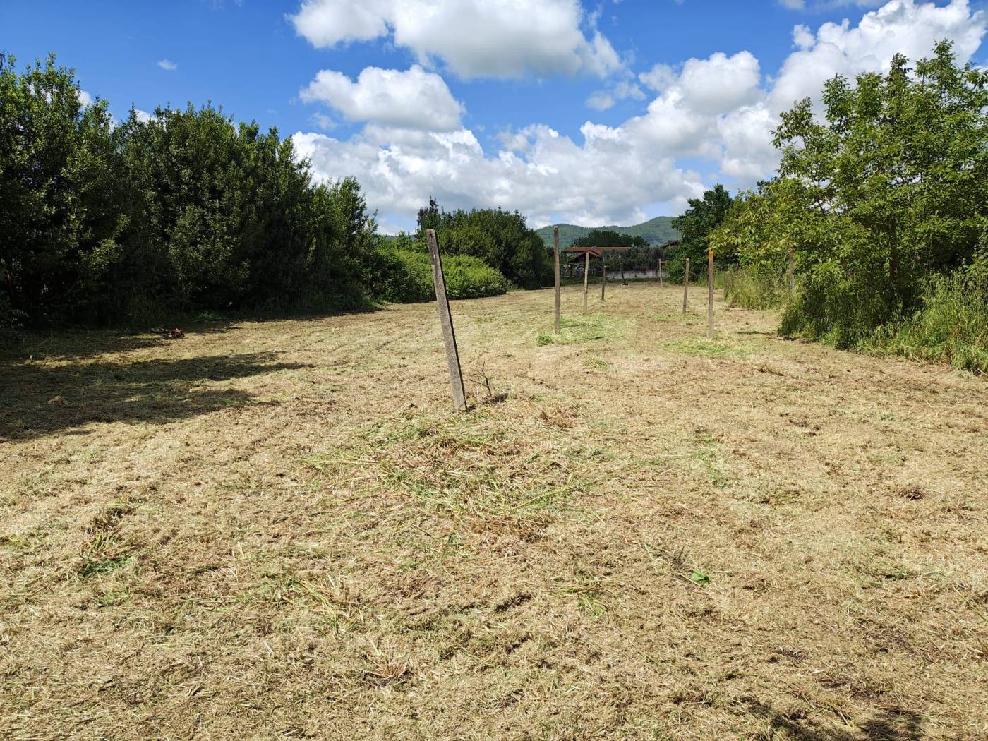 Terreno