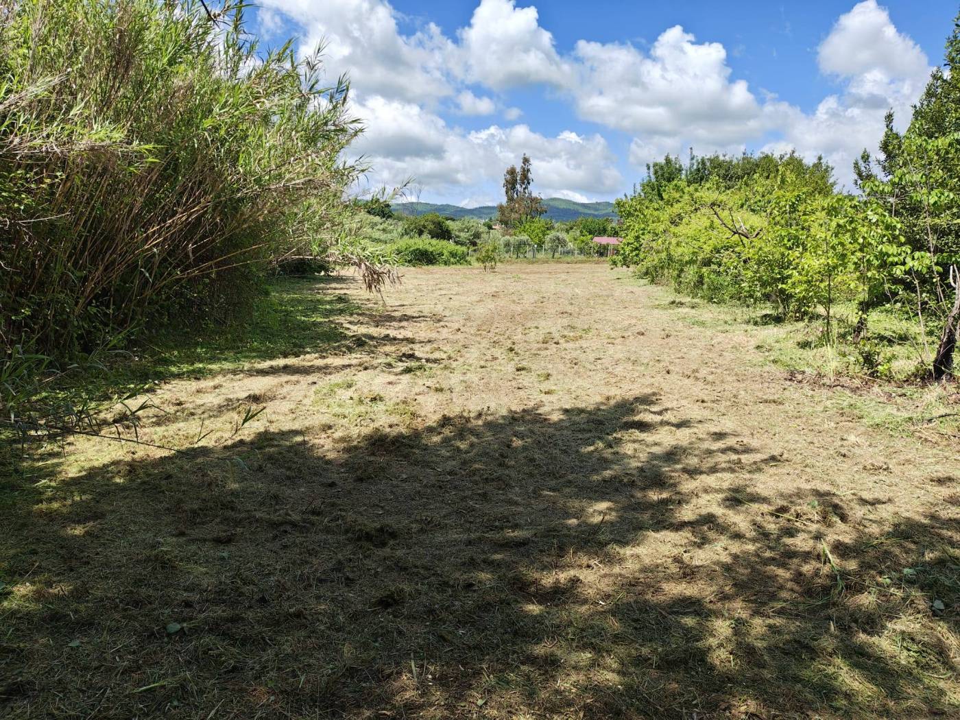 Terreno