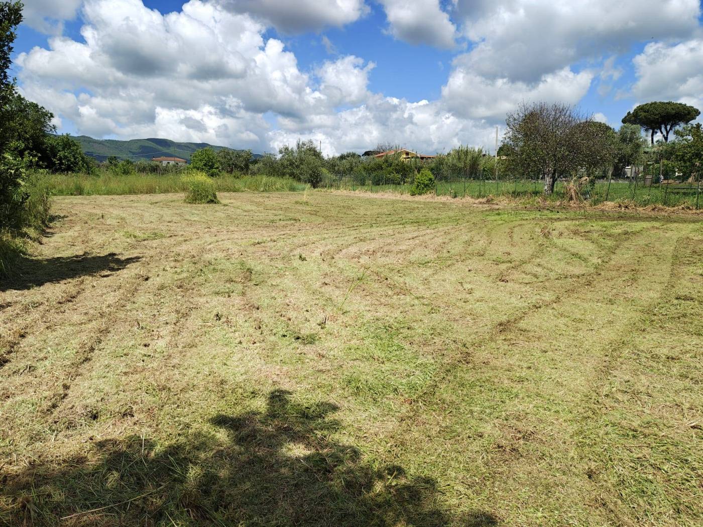 Terreno
