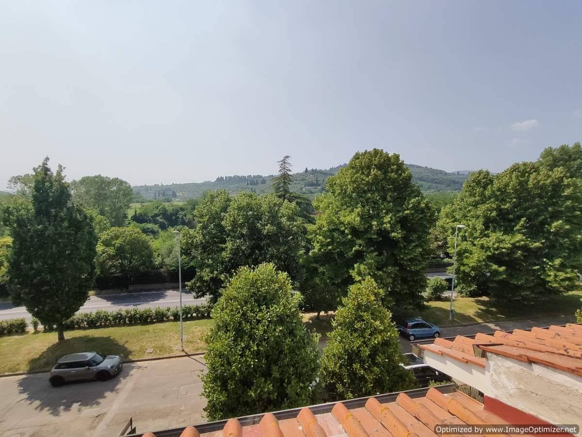 Vista