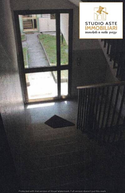 Ingresso