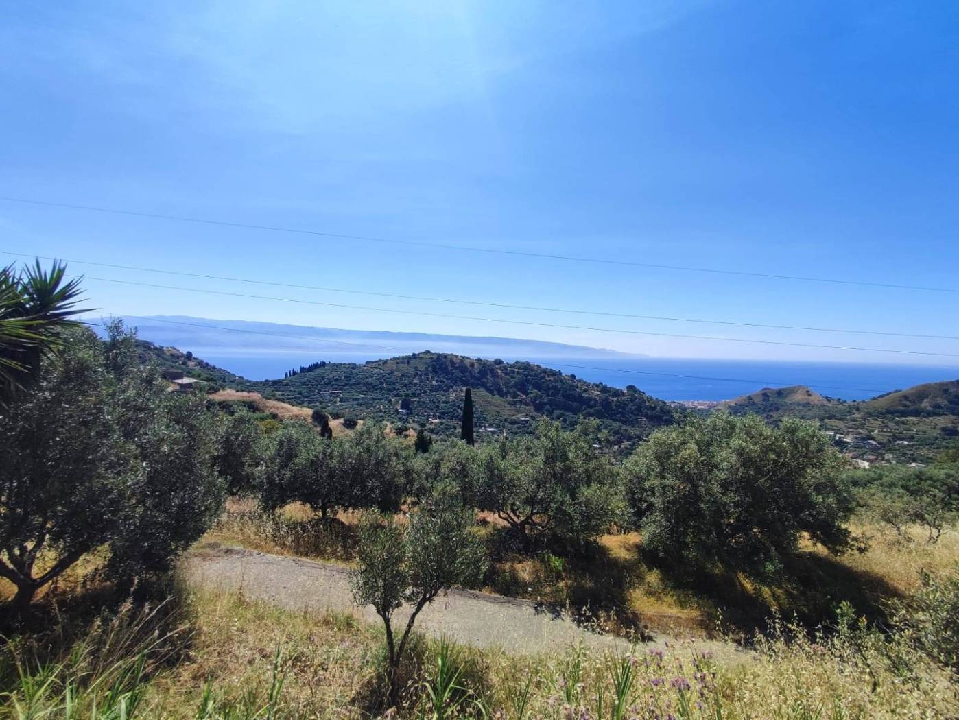 Vista