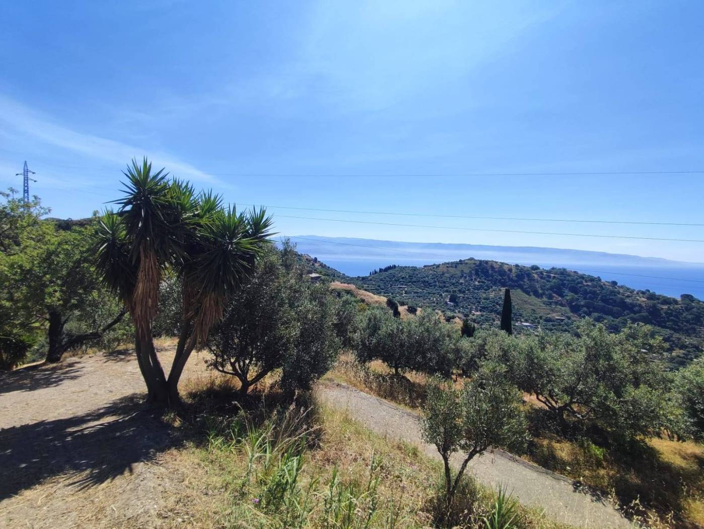 Vista
