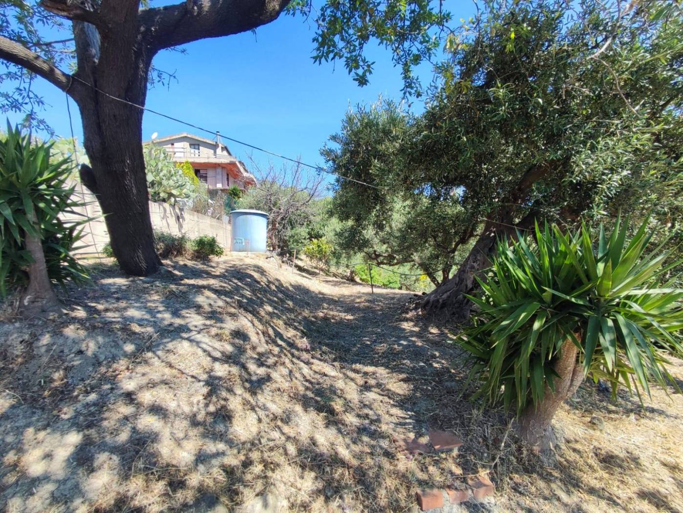 Terreno