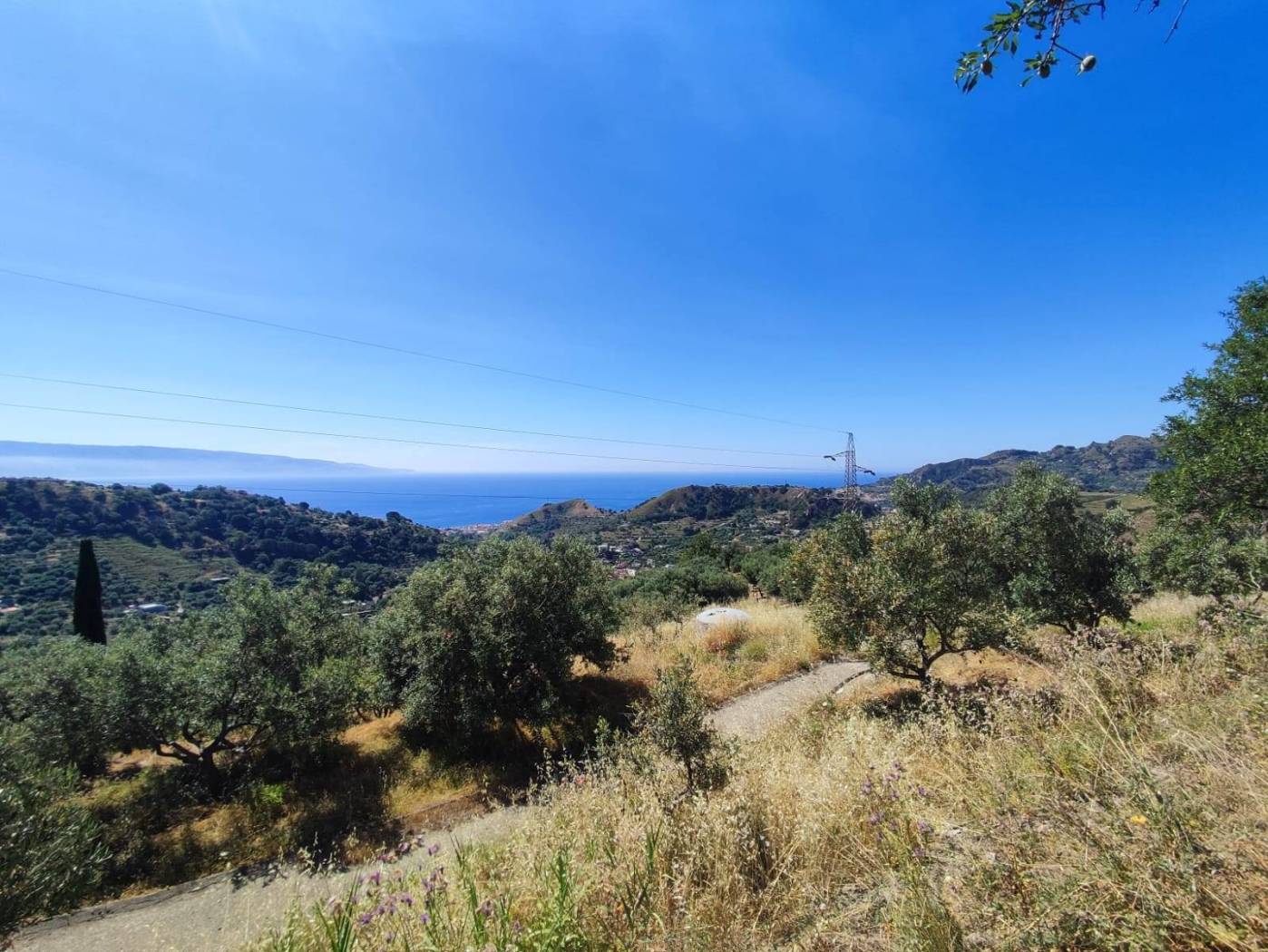 Vista