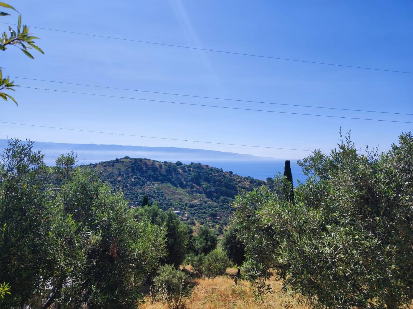 Vista
