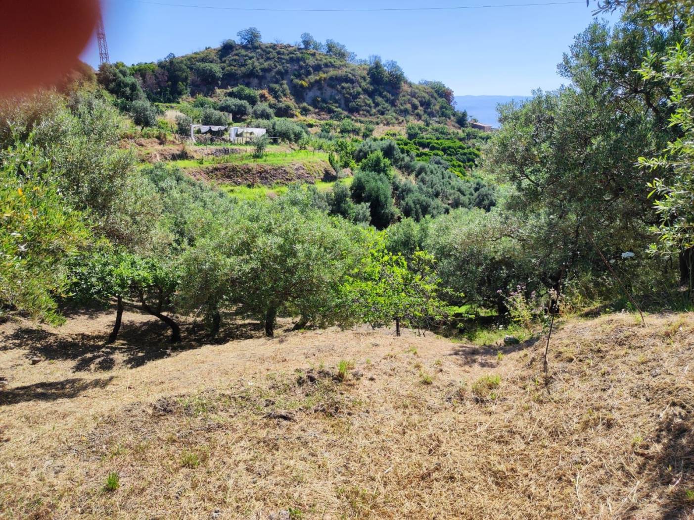 Terreno
