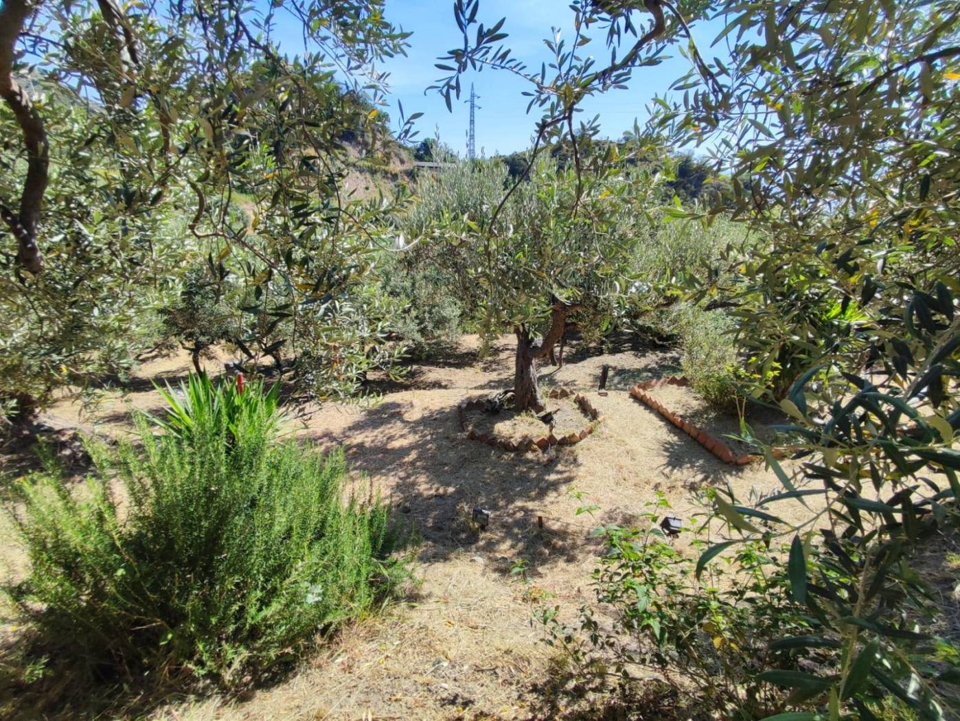 Terreno