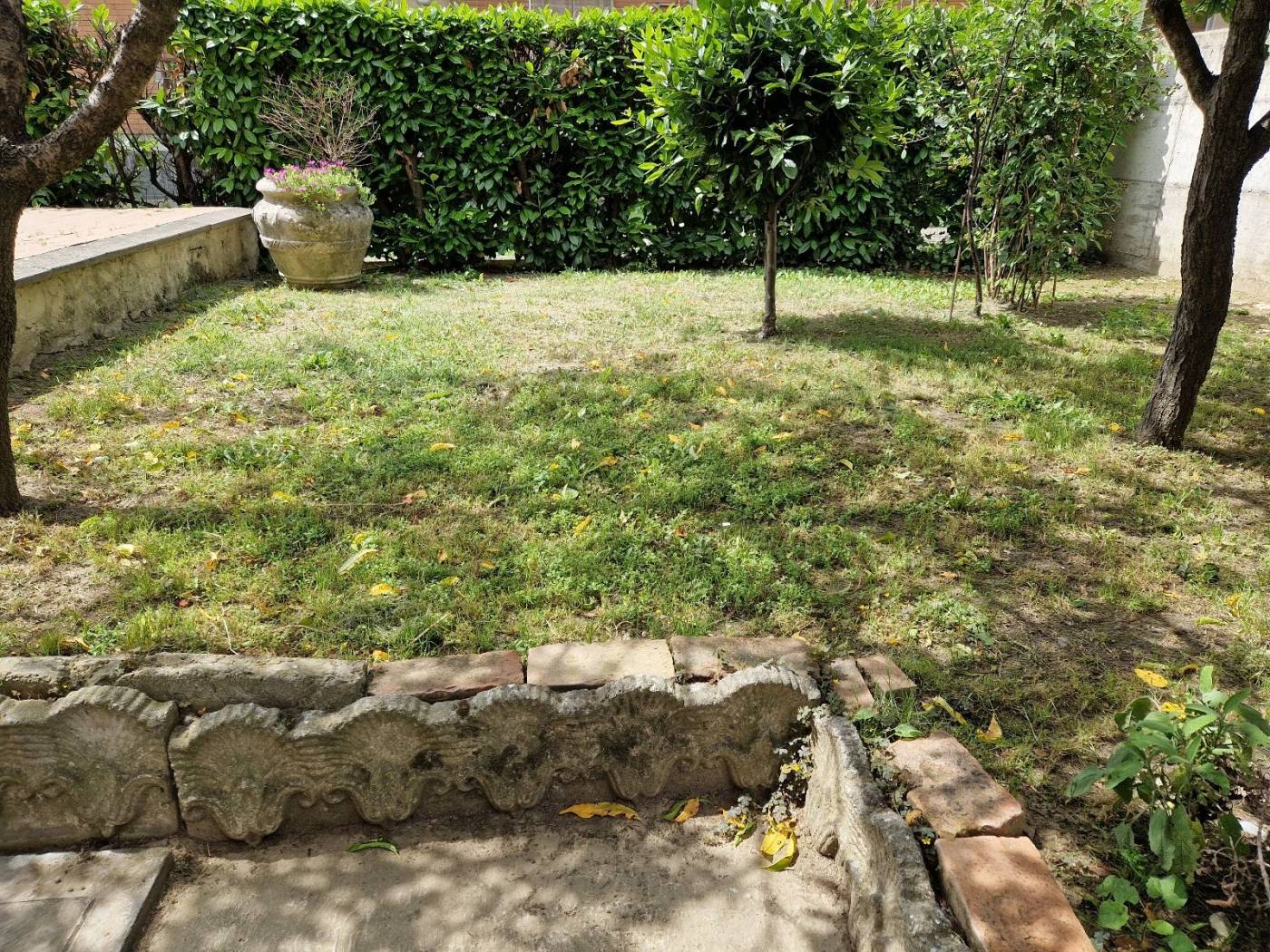 Giardino