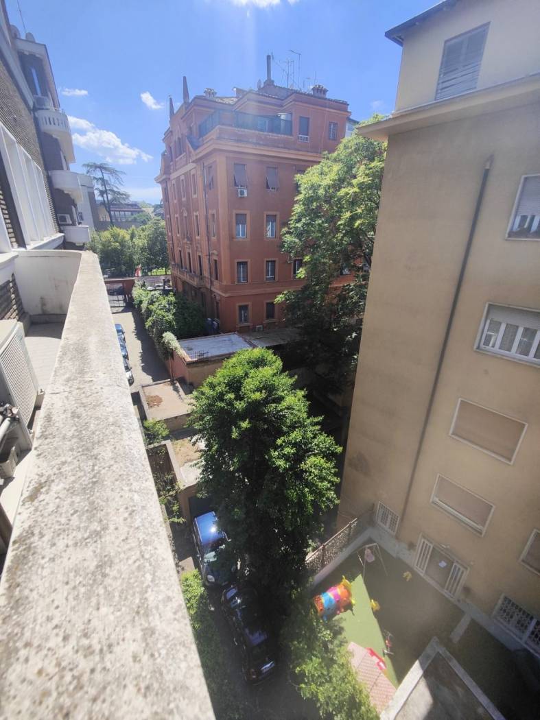 Vista