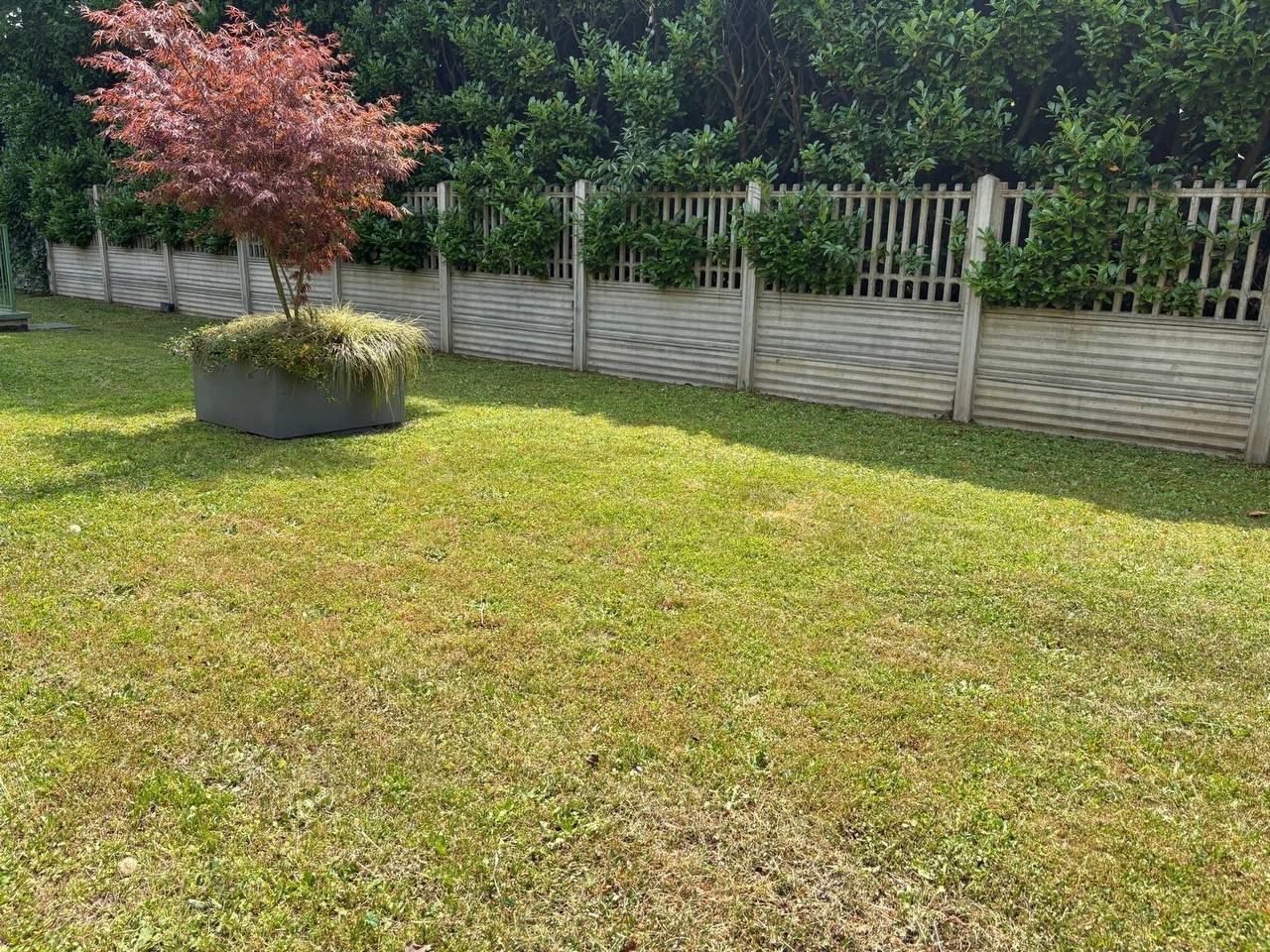 Giardino Giardino