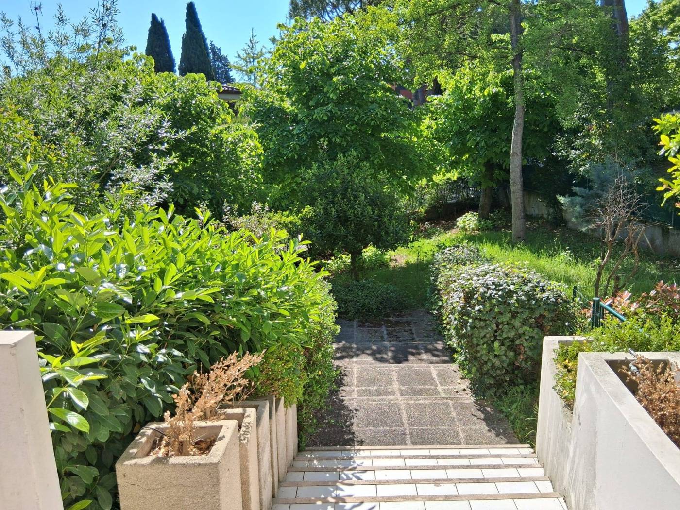 Giardino