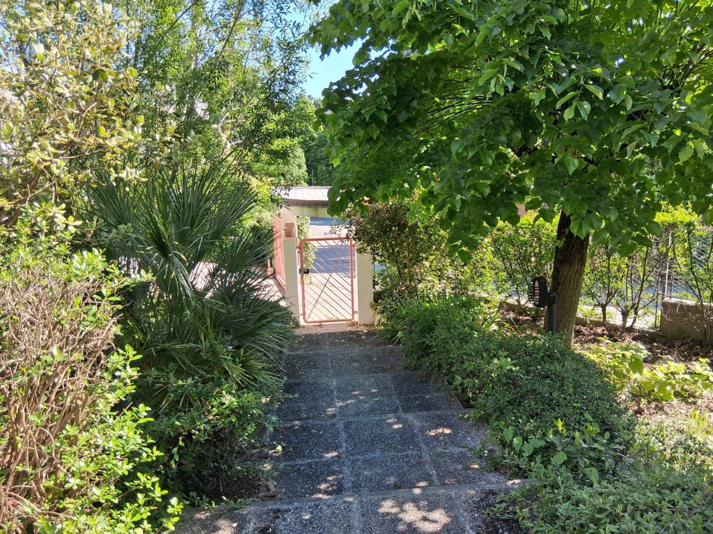 Giardino