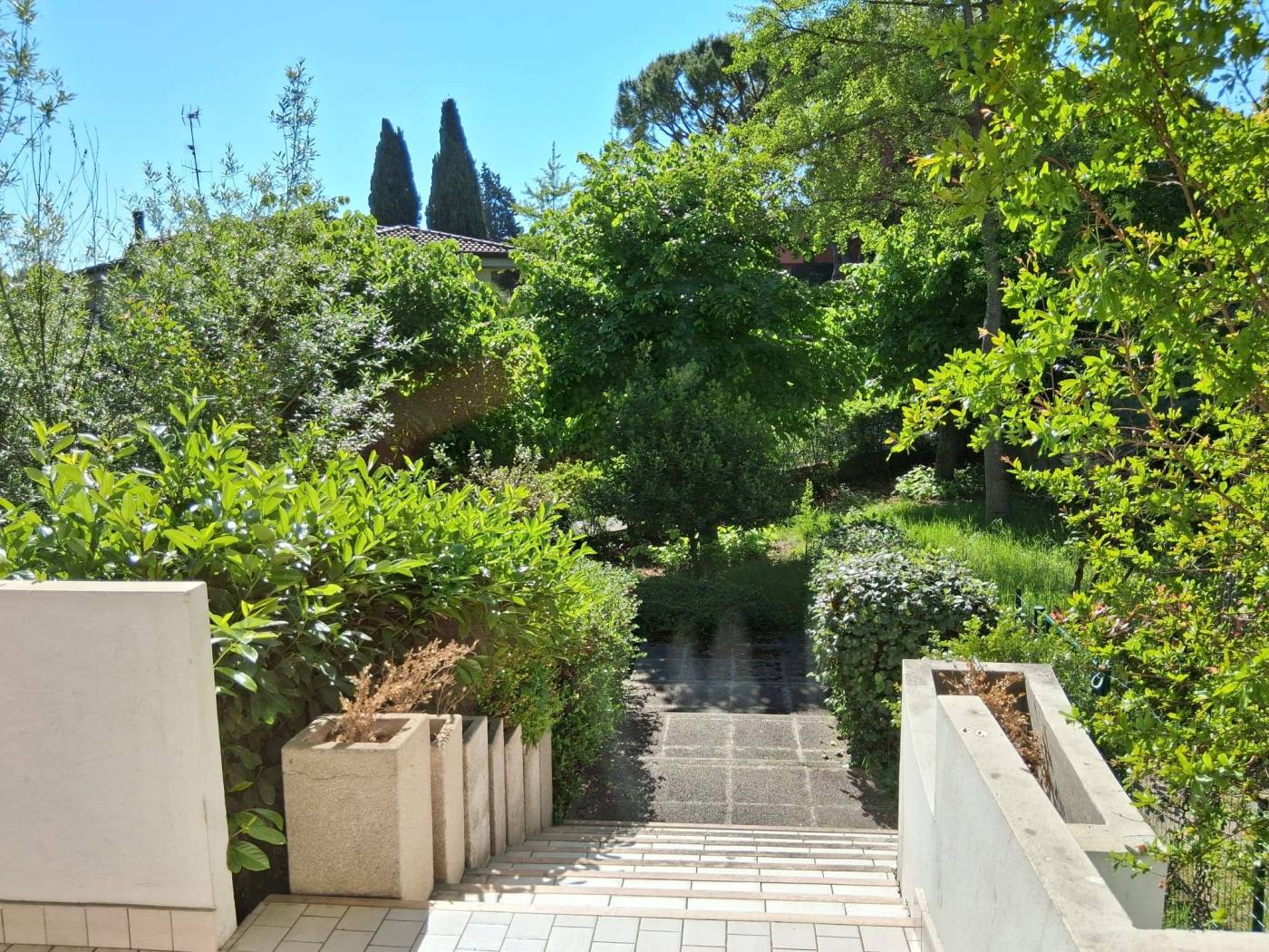Giardino