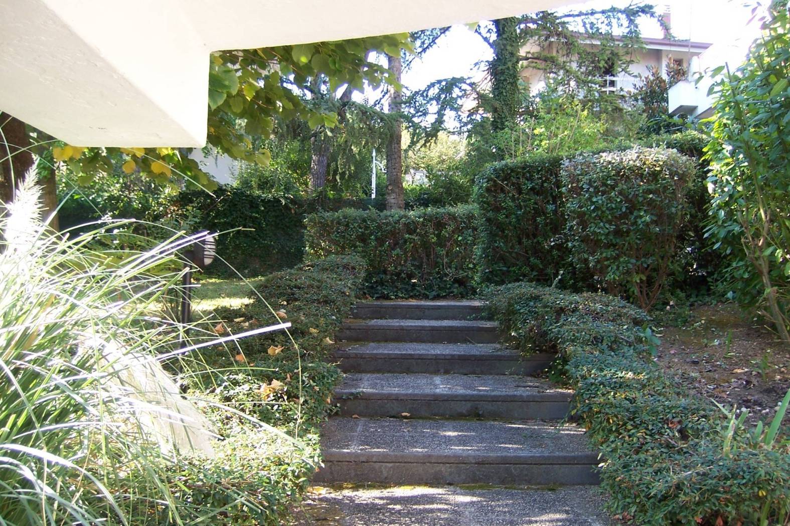 Giardino